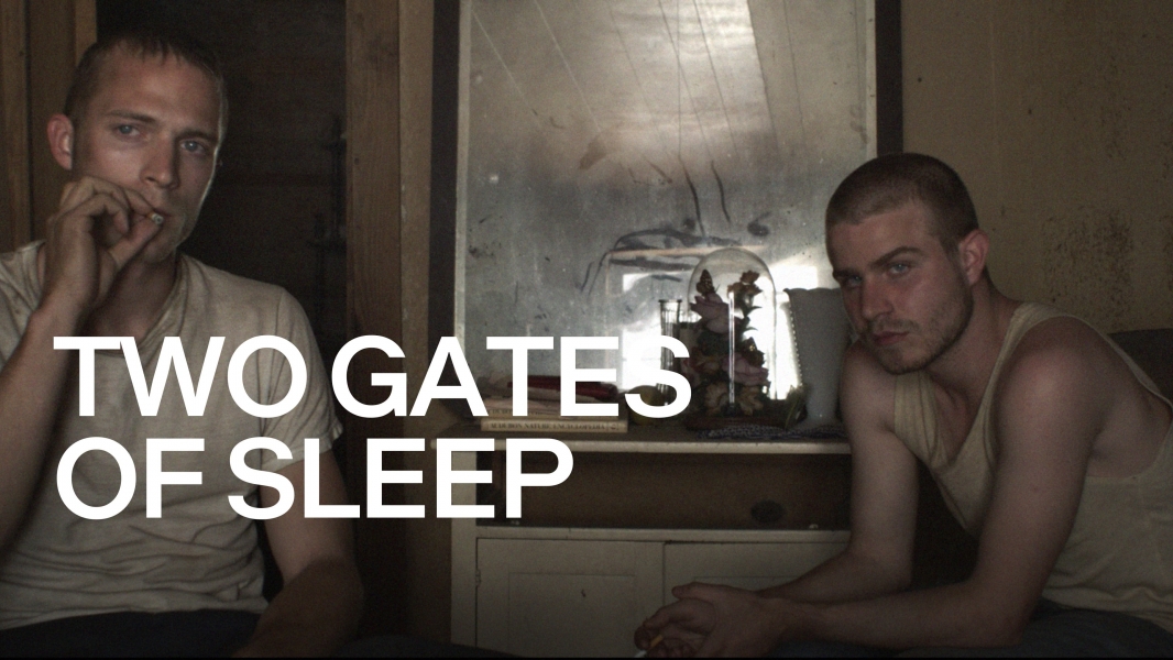 Two Gates of Sleep