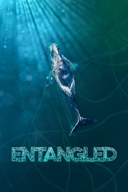 Entangled: The Race to Save Right Whales from Extinction