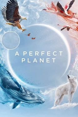 A Perfect Planet