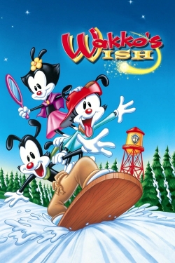 Wakko's Wish