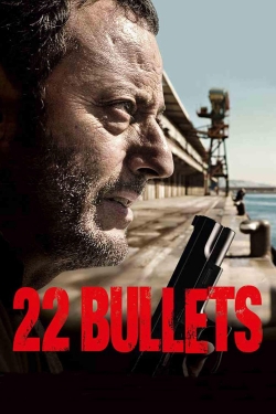 22 Bullets